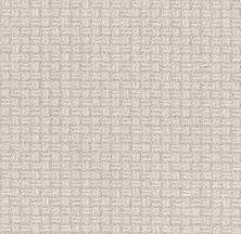 Shaw Floors Pet Perfect Plus Soothing Surround Washed Linen 00103_5E275