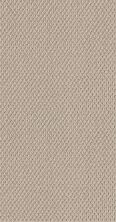 Shaw Floors Home Foundations Gold Modern Chic Sun Kissed 00110_HGR69