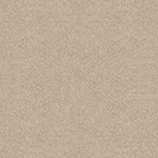 Shaw Floors Foundations ALLURING CANVAS Sun Kissed 00110_5E445