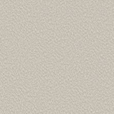 Shaw Floors Foundations Alluring Canvas Champagne Toast 00153_5E445