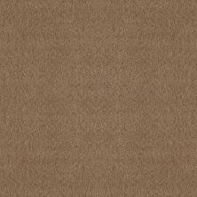 Shaw Floors Home Foundations Gold Appealing Charm Raw Wood 00720_HGR78