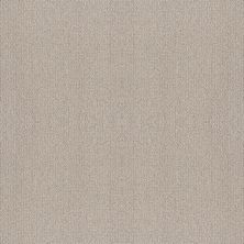 Shaw Floors Foundations Fine Tapestry Baltic Stone 00128_5E446