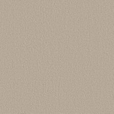 Shaw Floors Foundations Fine Tapestry Sandstone 00743_5E446