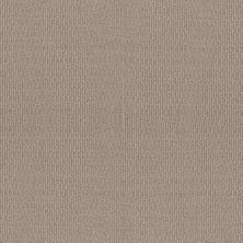 Shaw Floors Builder Specified Enlightenment Perfect Taupe 00119_HGR63