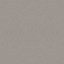 Shaw Floors Simply The Best EMBELLISHED Ashen 00114_5E458