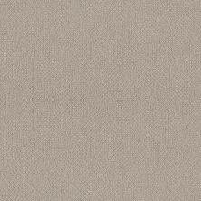 Shaw Floors Simply The Best EMBELLISHED Birch 00118_5E458