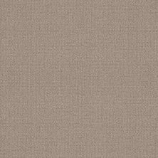 Shaw Floors Builder Specified Water’s Edge Perfect Taupe 00119_HGR77
