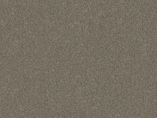 Shaw Floors Simply The Best Without Limits III Saddle Tan 00700_5E484