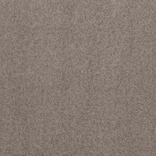 Shaw Floors Work It Out Pewter Taupe 00501_5E492