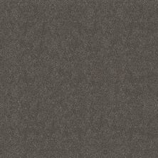 Shaw Floors Simply The Best Boundless II Shadow 00703_5E486
