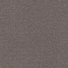 Shaw Floors Value Collections Mix’d Essentials Wt Nomadic Desert(a) 00721_5E548