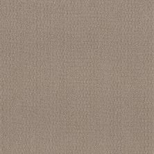 Shaw Floors Feisty Smooth Taupe 00119_5E652