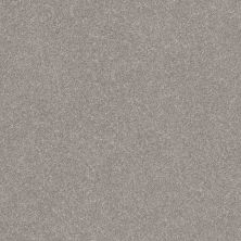 Shaw Builder Flooring CONTEMPORARY VISION Anew Grey 00702_HGR89