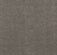 Shaw Floors Value Collections RIGHT CHOICE WT Mega Taupe 00114_5E549
