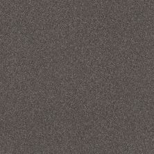 Shaw Floors Value Collections RIGHT CHOICE WT Gauntlet Gray 00511_5E549