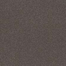 Shaw Floors Value Collections RIGHT CHOICE WT Folkstone 00711_5E549