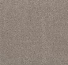 Shaw Floors Nfa SIMPLE LIFE Afterglow 00147_NA564