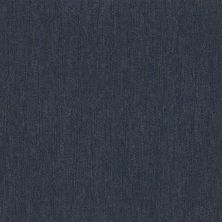 Philadelphia Commercial Core Elements Broadloom Outpouring 26 Bl Stampede 12425_7H0Q9