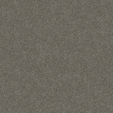 Shaw Floors Pet Perfect Yes You Can I 12′ Rerooted Nature 00300_5E568