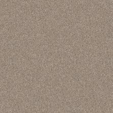 Shaw Floors Pet Perfect YES YOU CAN II 12′ Natural 00109_5E569