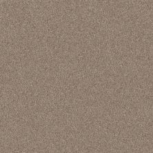 Shaw Floors Pet Perfect Yes You Can III 12′ Subtle Clay 00114_5E570