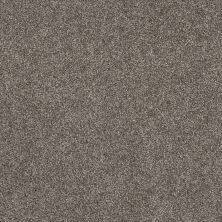 Shaw Floors Pet Perfect Yes You Can III 12′ Ashes 00501_5E570
