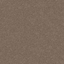 Shaw Floors Pet Perfect YES YOU CAN I 15′ Honeycomb 00207_5E571