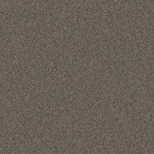 Shaw Floors Pet Perfect YES YOU CAN II 15′ Urban Rustic 00708_5E572