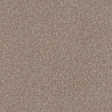 Shaw Floors Pet Perfect YES YOU CAN-ADA III 15′ Glacier 00110_5E640