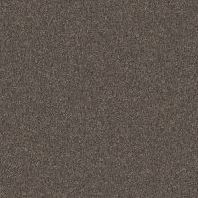 Shaw Floors Pet Perfect YES YOU CAN III 15′ Cafe Noir 00706_5E573