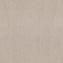 Shaw Floors Simply The Best NATURE’S MARK NET Subtle Clay 00114_5E616