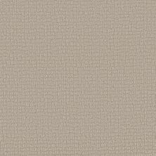 Shaw Floors Carpets Plus Value AMBIENT RAIN Almond Silk 00101_7K0U5