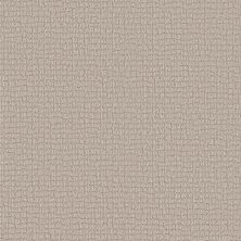 Shaw Floors Carpets Plus Value AMBIENT RAIN Subtle Clay 00114_7K0U5