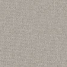 Shaw Floors Carpets Plus Value AMBIENT RAIN Rock Crystal 00508_7K0U5