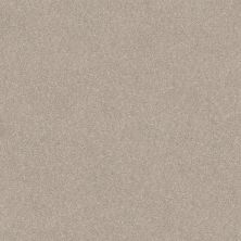 Shaw Floors Enchanted Vision Bare Mineral 00105_HGR90