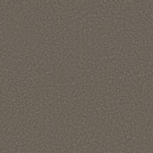 Shaw Floors Simply The Best SMOOTH TALK II Urban Taupe 00703_5E579