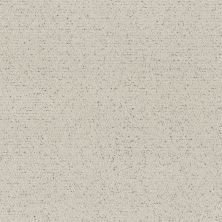 Shaw Floors Pet Perfect Intricate Trace Marble 00103_5E587
