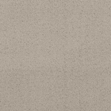 Shaw Floors Pet Perfect INTRICATE TRACE River Birch 00106_5E587