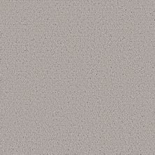 Shaw Floors Pet Perfect INTRICATE TRACE Flannel 00503_5E587
