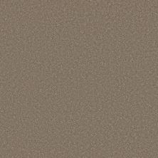 Shaw Floors Pet Perfect Way To Go I Chic Taupe 00711_5E668