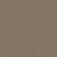 Shaw Floors Pet Perfect WAY TO GO III Chic Taupe 00711_5E670
