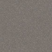 Shaw Floors Pet Perfect VA132 NET Vintage 00509_VA132