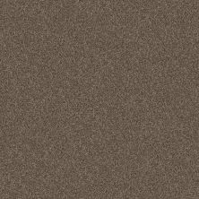 Shaw Floors Pet Perfect Yes You Can III 12′ Mission Ridge 00705_5E570