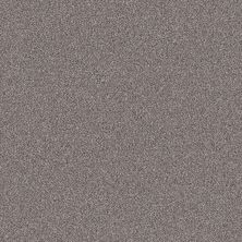 Shaw Floors SIMPLY THE BEST Truspirit II Stainless 00508_5E497