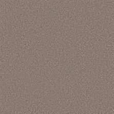 Shaw Floors Simply The Best YET Taupe Dream 00725_5E745