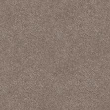 Shaw Floors Simply The Best TRUSOLUTIONS III Taupe Dream 00705_5E649