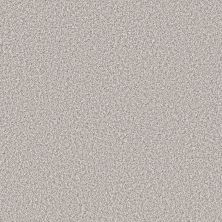 Shaw Floors Pet Perfect REMIXED CLASSIC Silver Lining 00517_5E679
