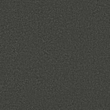 Shaw Floors Simply The Best YET Charcoal 00534_5E745