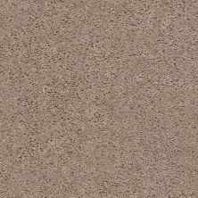 Shaw Floors Mi Homes Easton Square Warm Sand 00106_MH106