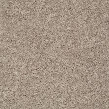 Shaw Floors Mi Homes Easton Square Soft Taupe 00501_MH106